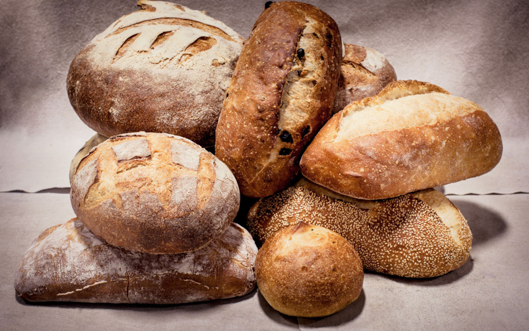 HBC Official Bread Sponsor at Mohegan Sun Winefest -News This Week
